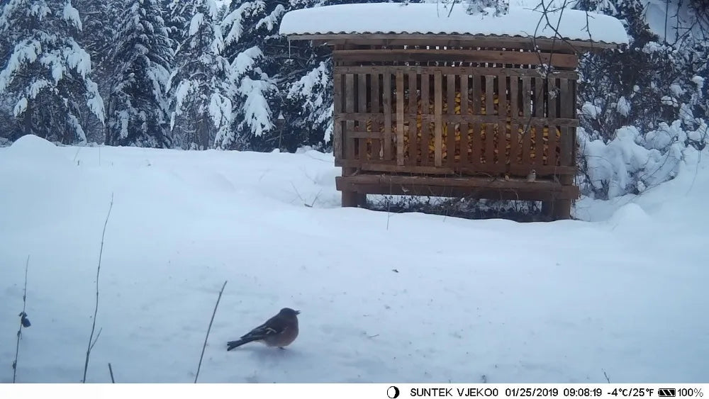 Hunting Trail Camera With 5000Mah Lithium Battery