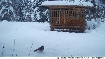 Hunting Trail Camera With 5000Mah Lithium Battery