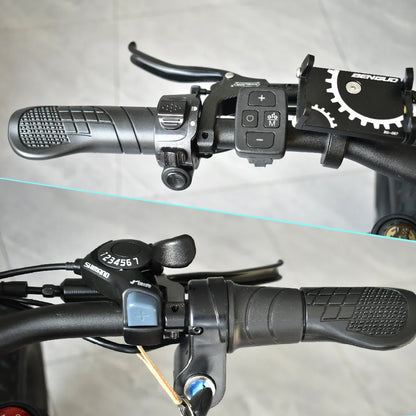 Deepower S8 2000W+1500W Dual Motor Electric Bike