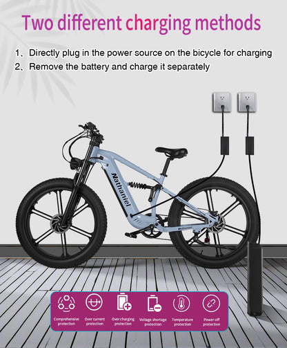 Nathaniel SYR09  26*4.0 electric bike, dual motor 2000W