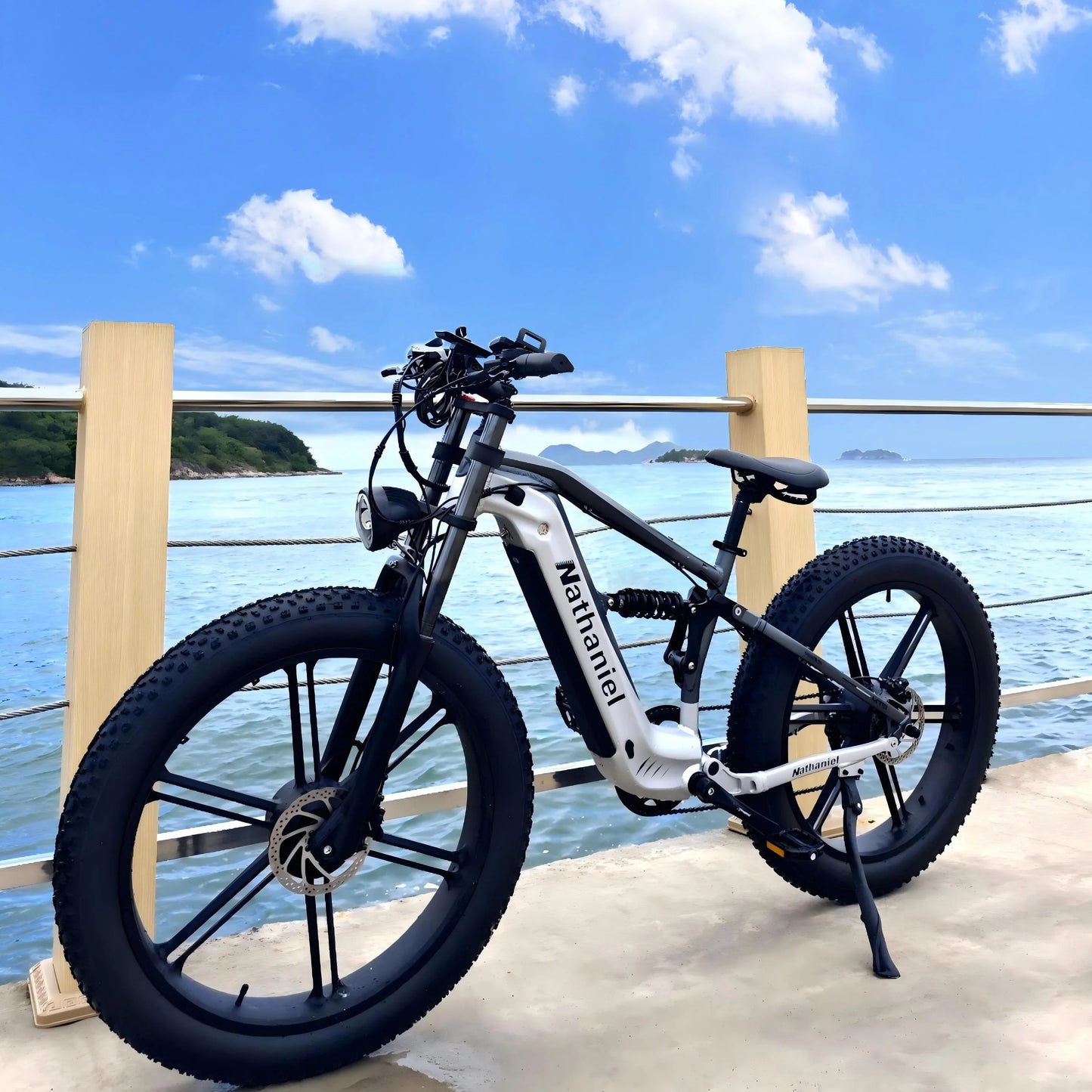 Nathaniel SYR09  26*4.0 electric bike, dual motor 2000W
