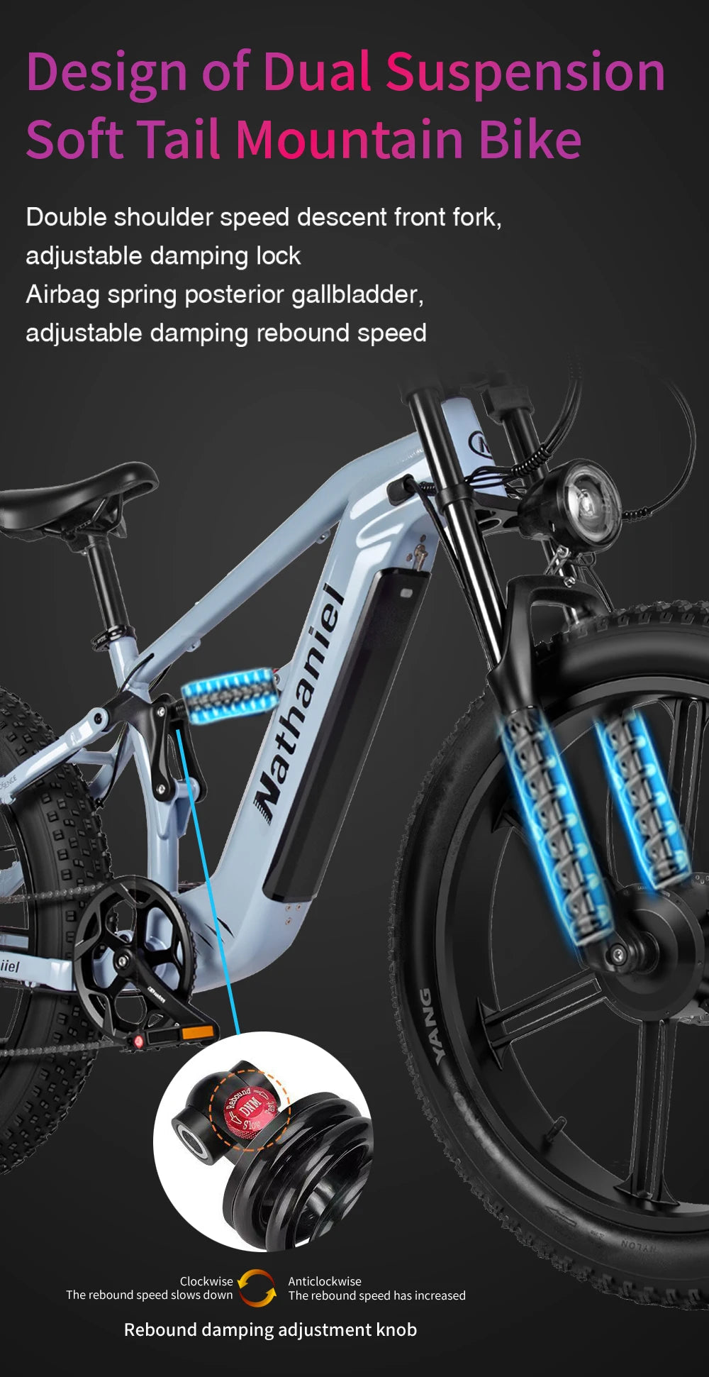 Nathaniel SYR09  26*4.0 electric bike, dual motor 2000W